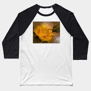 Antiqued Yellow Cactus Bloom Baseball T-Shirt